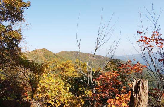 치악산 가을은 이렇게 내려오고 있었다. 점점 진하게 점점 알록달록. 